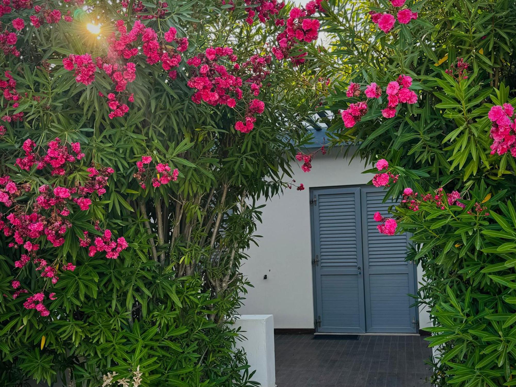 Baia Sangiorgio Hotel & Beach Club Bari Kültér fotó